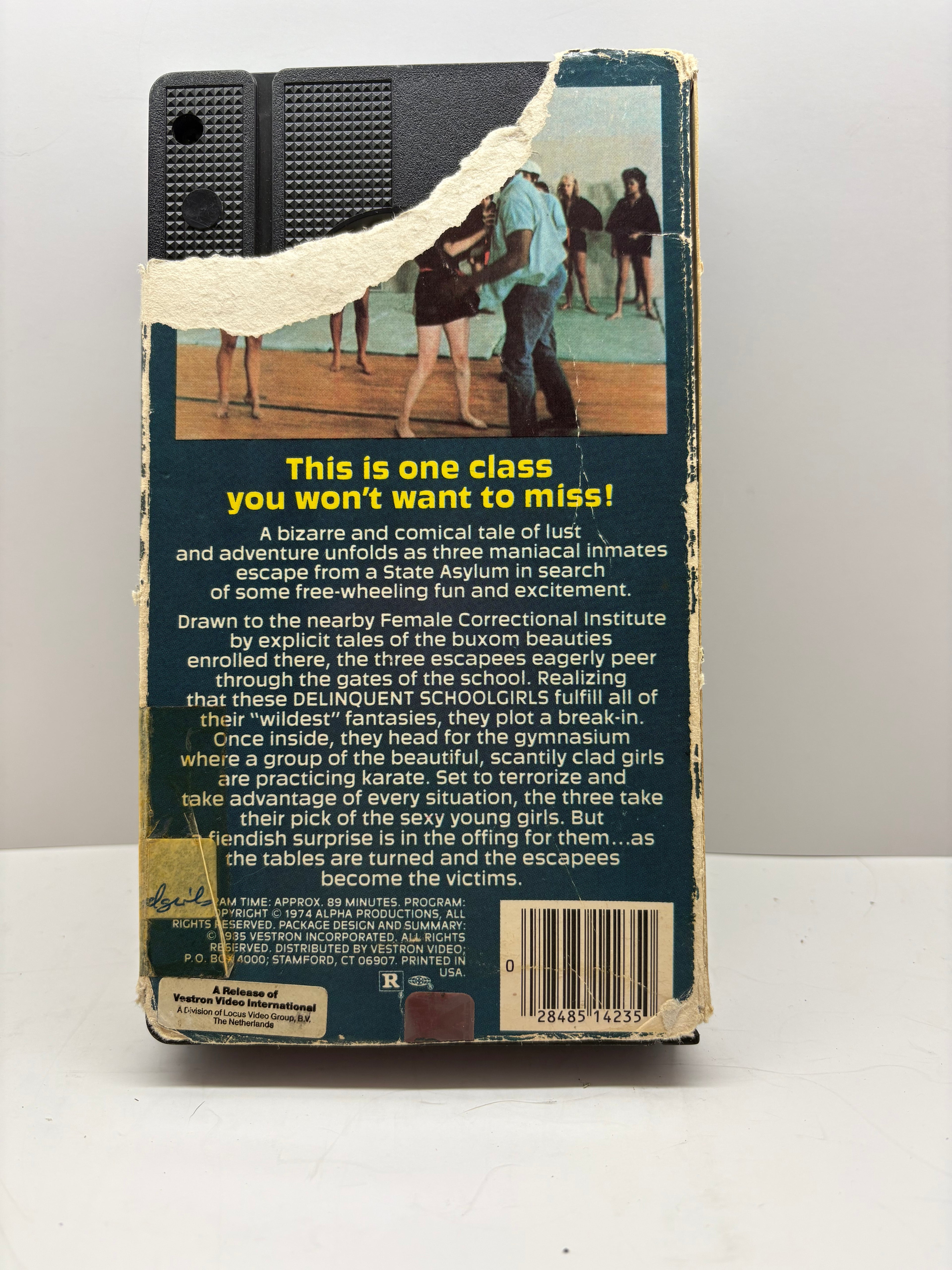 Delinquent School Girls VHS (1985 Vestron Video) - 1975 Exploitation Cult Classic - “censored by a mom”